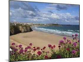 Great Western Beach, Newquay, Cornwall, England-Stuart Black-Mounted Photographic Print