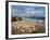 Great Western Beach, Newquay, Cornwall, England-Stuart Black-Framed Photographic Print