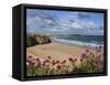 Great Western Beach, Newquay, Cornwall, England-Stuart Black-Framed Stretched Canvas