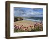 Great Western Beach, Newquay, Cornwall, England-Stuart Black-Framed Photographic Print