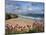 Great Western Beach, Newquay, Cornwall, England-Stuart Black-Mounted Photographic Print