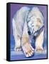 Great White Bear, 2016-Mark Adlington-Framed Stretched Canvas