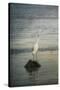 Great White Egret at Sunrise-Jai Johnson-Stretched Canvas