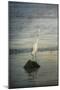 Great White Egret at Sunrise-Jai Johnson-Mounted Giclee Print