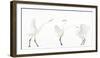 Great white egret group of three in winter, Kiskunsag National Park, Hungary-Bence Mate-Framed Photographic Print