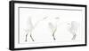 Great white egret group of three in winter, Kiskunsag National Park, Hungary-Bence Mate-Framed Photographic Print