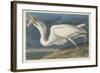 Great White Heron, 1835-John James Audubon-Framed Giclee Print