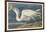 Great White Heron, 1835-John James Audubon-Framed Giclee Print