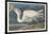 Great White Heron, 1835-John James Audubon-Framed Giclee Print