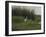 Great White Heron (Ardea Alba), Okavango Delta, Ngamiland, Botswana-null-Framed Photographic Print