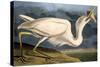 Great White Heron from "Birds of America"-John James Audubon-Stretched Canvas