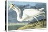 Great White Heron, Male Adult, Spring Plumage, 1835-John James Audubon-Stretched Canvas