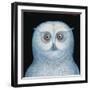 Great White Owl, 1996-Tamas Galambos-Framed Giclee Print