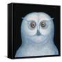 Great White Owl, 1996-Tamas Galambos-Framed Stretched Canvas