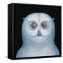 Great White Owl, 1996-Tamas Galambos-Framed Stretched Canvas