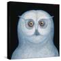 Great White Owl, 1996-Tamas Galambos-Stretched Canvas