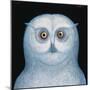 Great White Owl, 1996-Tamas Galambos-Mounted Giclee Print