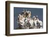 Great White Pelicans (Pelecanus Onocrotalus)-Ann and Steve Toon-Framed Photographic Print