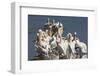 Great White Pelicans (Pelecanus Onocrotalus)-Ann and Steve Toon-Framed Photographic Print