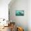 Great White Pointer Shark-null-Stretched Canvas displayed on a wall