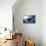 Great White Pointer Shark-null-Stretched Canvas displayed on a wall