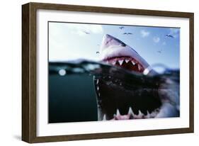 Great White Pointer Shark-null-Framed Photographic Print