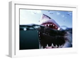 Great White Pointer Shark-null-Framed Photographic Print