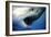 Great White Pointer Shark-null-Framed Photographic Print