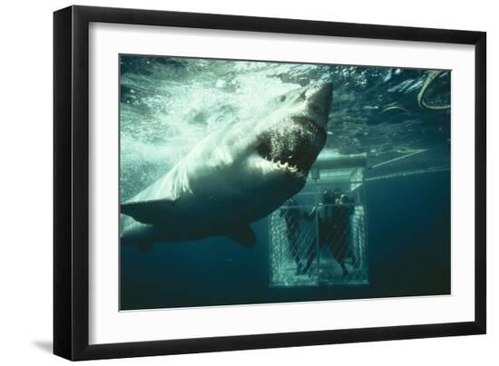 Premium Photographic Print, , large