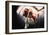 Great White Shark Attacking Horsemeat-null-Framed Photographic Print