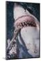 Great White Shark Biting Bait Line-DLILLC-Mounted Photographic Print