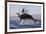 Great White Shark (Carcharodon Carcharias)-David Jenkins-Framed Photographic Print