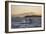 Great White Shark (Carcharodon Carcharias)-David Jenkins-Framed Photographic Print