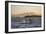 Great White Shark (Carcharodon Carcharias)-David Jenkins-Framed Photographic Print