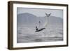 Great White Shark (Carcharodon Carcharias)-David Jenkins-Framed Photographic Print