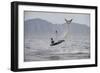 Great White Shark (Carcharodon Carcharias)-David Jenkins-Framed Photographic Print