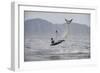 Great White Shark (Carcharodon Carcharias)-David Jenkins-Framed Photographic Print