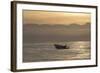 Great White Shark (Carcharodon Carcharias)-David Jenkins-Framed Photographic Print