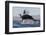 Great White Shark (Carcharodon Carcharias)-David Jenkins-Framed Premium Photographic Print