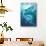 Great White Shark - Oregon Coast-Lantern Press-Art Print displayed on a wall