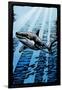 Great White Shark - Scratchboard-Lantern Press-Framed Art Print