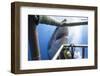 Great White Shark Showing its Teeth in Front of Divers in a Diving Cage.-VisionDive-Framed Photographic Print