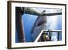 Great White Shark Showing its Teeth in Front of Divers in a Diving Cage.-VisionDive-Framed Photographic Print