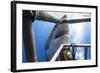 Great White Shark Showing its Teeth in Front of Divers in a Diving Cage.-VisionDive-Framed Photographic Print