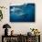 Great White Shark, South Africa-Stuart Westmorland-Premium Photographic Print displayed on a wall