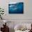 Great White Shark, South Africa-Stuart Westmorland-Photographic Print displayed on a wall