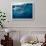 Great White Shark, South Africa-Stuart Westmorland-Framed Photographic Print displayed on a wall