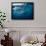 Great White Shark, South Africa-Stuart Westmorland-Framed Photographic Print displayed on a wall