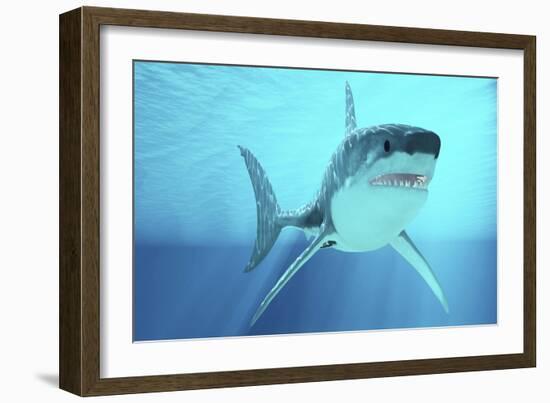 Great White Shark Swimming Underwater-null-Framed Art Print