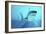 Great White Shark Swimming Underwater-null-Framed Art Print